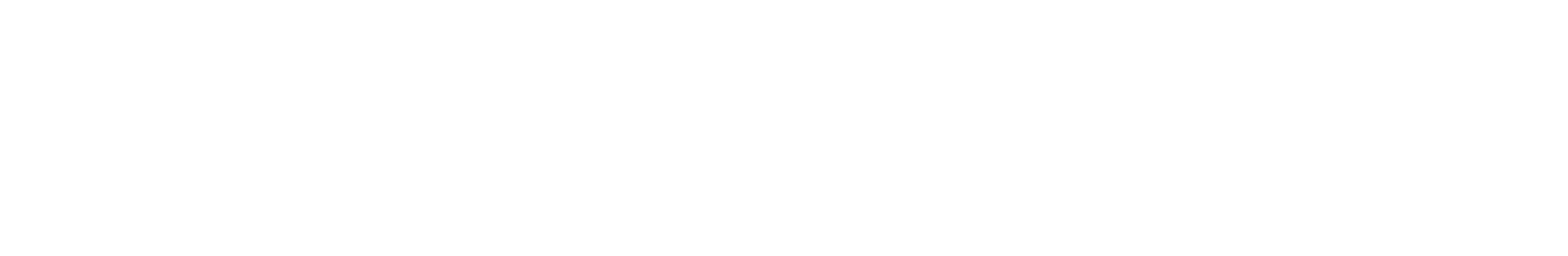Brandora Logo